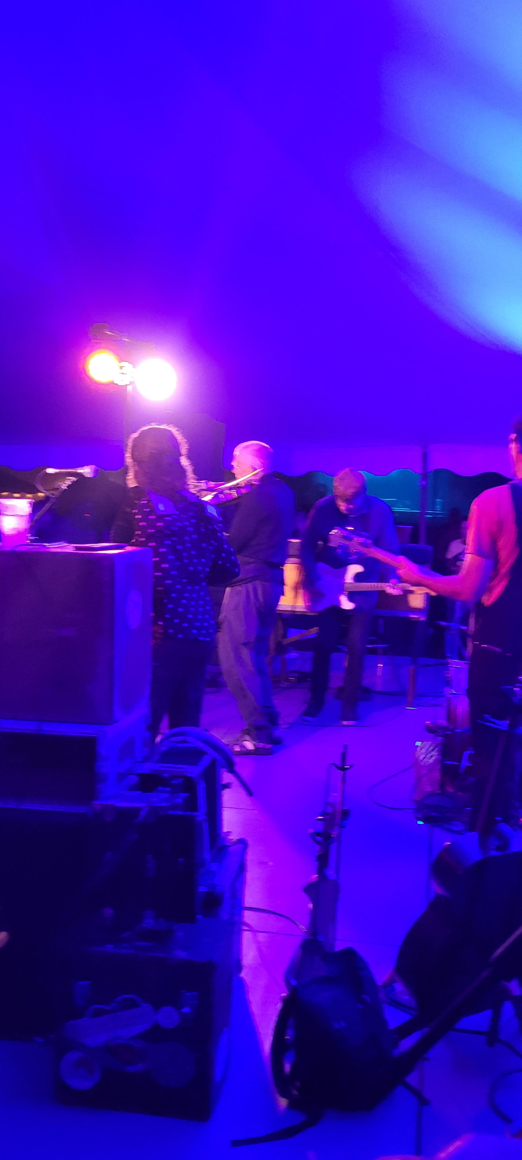 DonnaTheBuffalo2024-08-15GreenMountainBluegrassAndRootsFestivalManchesterVT (4).jpg